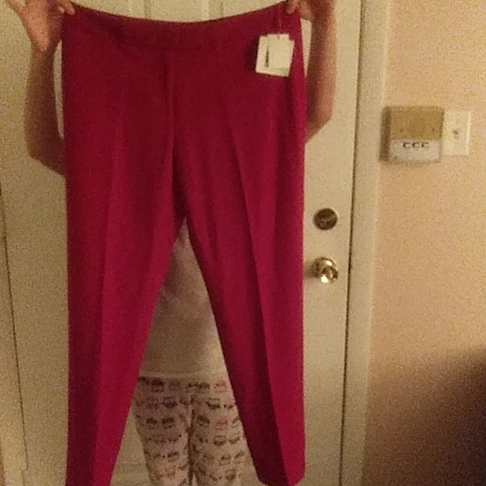Brand New with tag dress pants